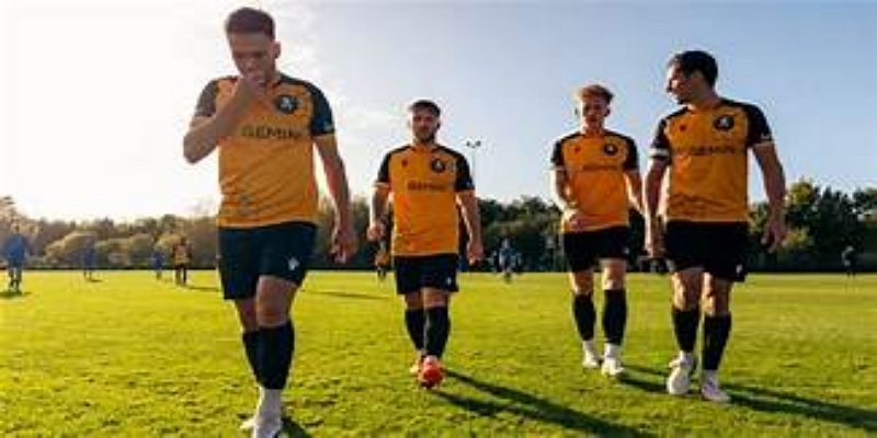 ag真人分析：Winklevoss兄弟与俱乐部运营模式重构-ag真人